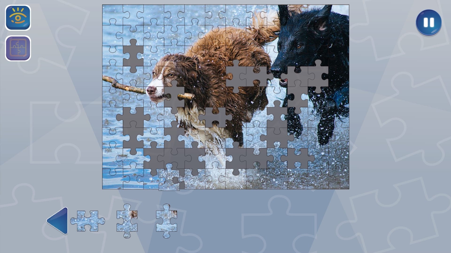 Jigsaw Puzzle