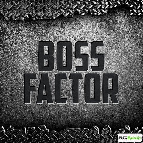 Baas Factor