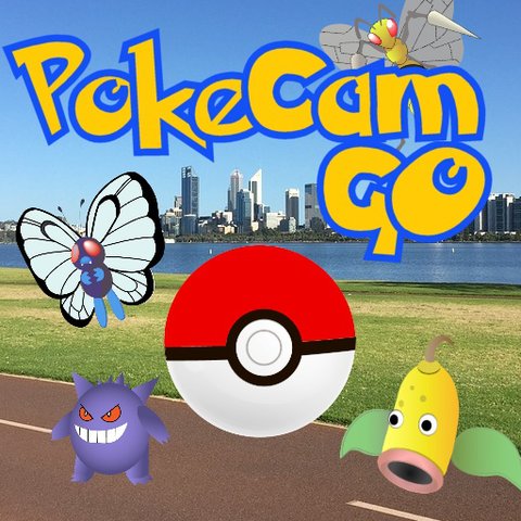 Pokecam Go