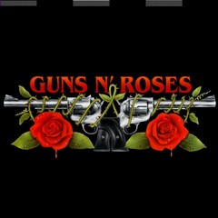 Guns N Roses - Roses And Pistols