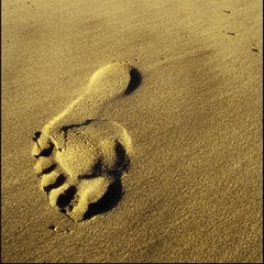 Footprints In Sand