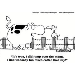 The Cow Jumped Over The Moon