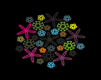 Kaleidoskop Blumen