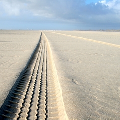 Beach Tracks