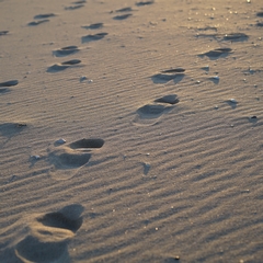 Footsteps In The Sand