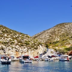 Harbour Boats