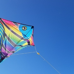 Lets Fly A Kite