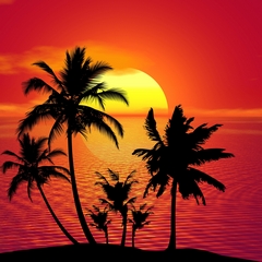 Sunset In Paradise