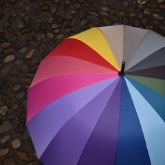 Umbrella On the Rocks