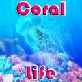 Korallen Leben